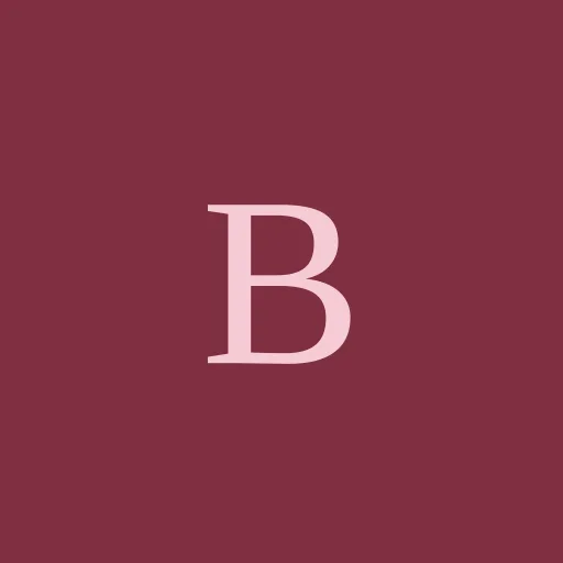 Blitz Driver icon