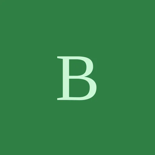 Brave Beta icon