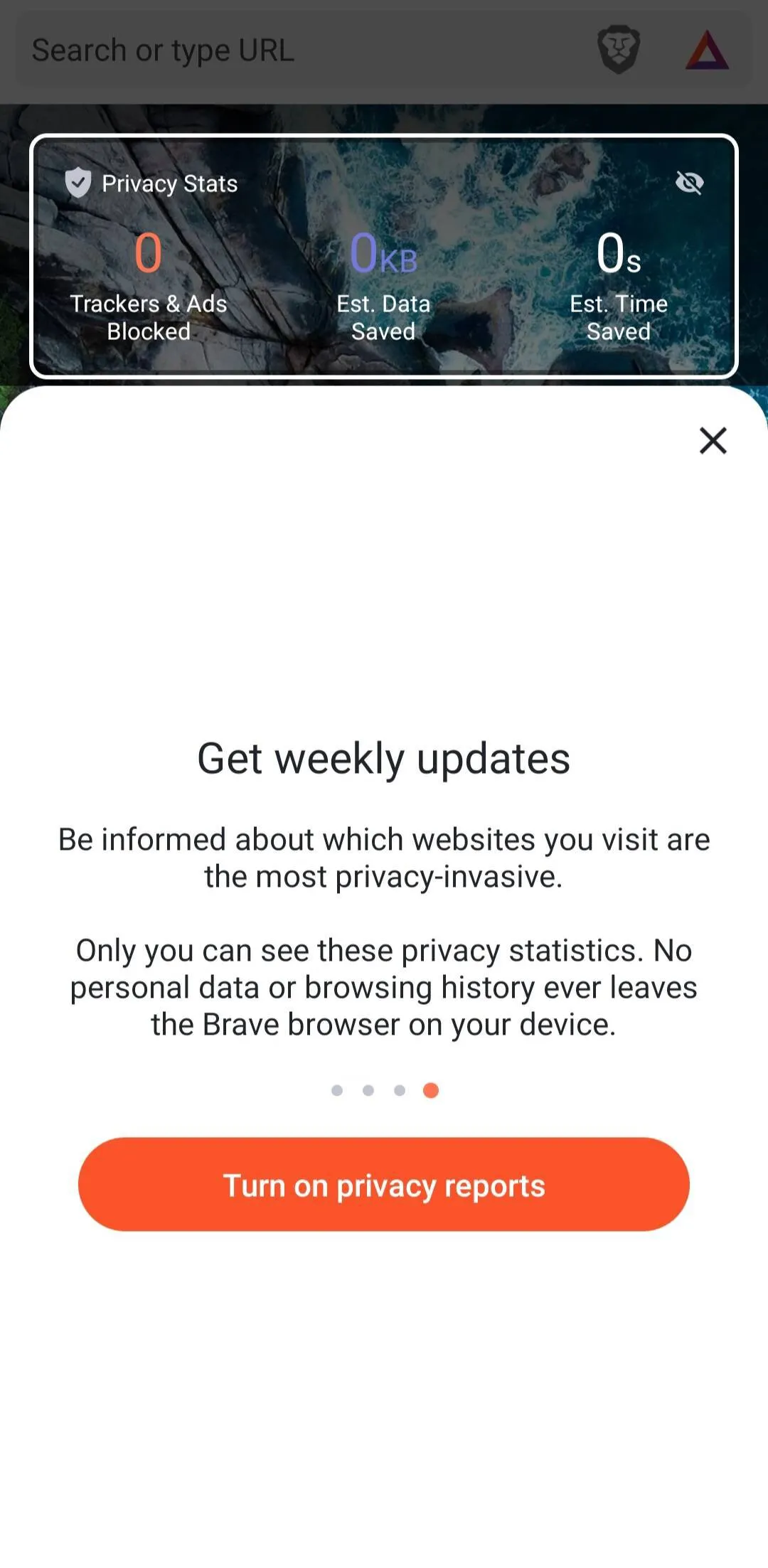 Brave screenshot 2