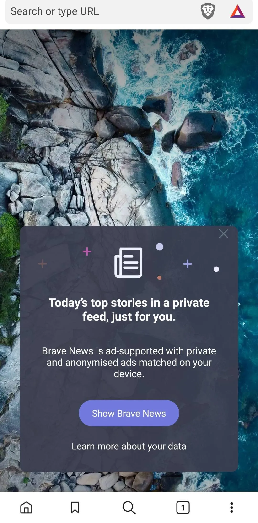 Brave screenshot 5