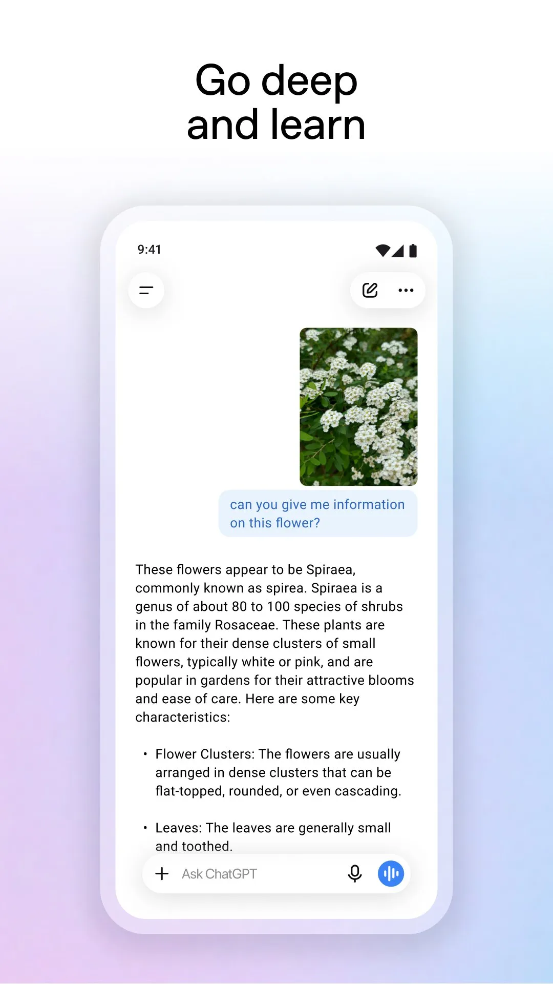 ChatGPT screenshot 6