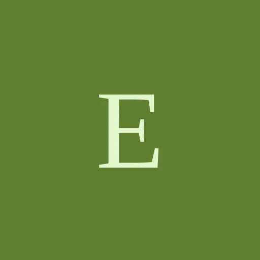 E-Port MS icon