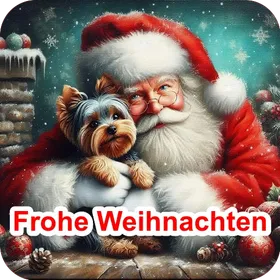 Frohe Weihnachten Bilder icon