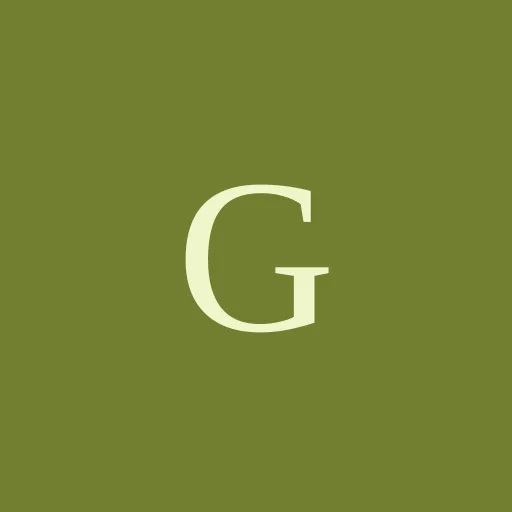 GoFly VPN,V2ray,Trojan,sock5 icon