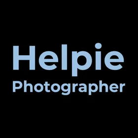 Helpie Photographer icon