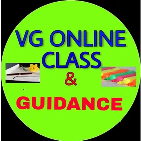 VG ONLINE CLASS & GUIDANCE icon
