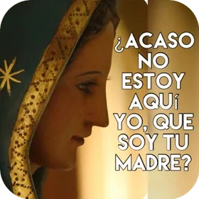Virgen de Guadalupe icon