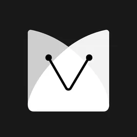 vlinq Store icon